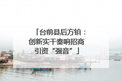 台前县后方镇：创新实干奏响招商引资“强音”