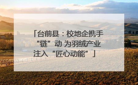台前县：校地企携手“链”动 为羽绒产业注入“匠心动能”