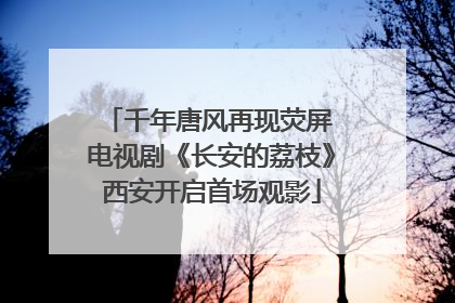 千年唐风再现荧屏 电视剧《长安的荔枝》西安开启首场观影