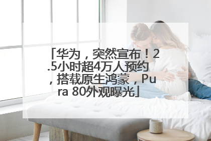 华为，突然宣布！2.5小时超4万人预约，搭载原生鸿蒙，Pura 80外观曝光