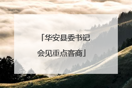 华安县委书记会见重点客商