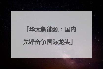 华太新能源：国内先锋奋争国际龙头