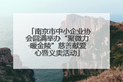 南京市中小企业协会圆满举办“聚微力·暖金陵”慈善献爱心暨义卖活动