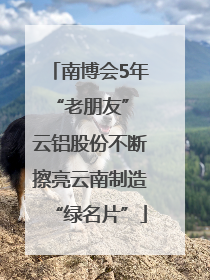 南博会5年“老朋友” 云铝股份不断擦亮云南制造“绿名片”