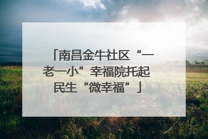 南昌金牛社区“一老一小”幸福院托起民生“微幸福”
