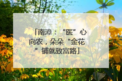 南漳：“医”心向农，朵朵“金花”铺就致富路