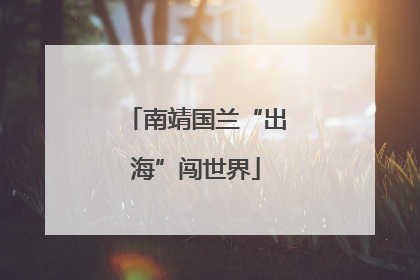 南靖国兰“出海”闯世界