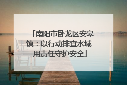 南阳市卧龙区安皋镇：以行动排查水域 用责任守护安全