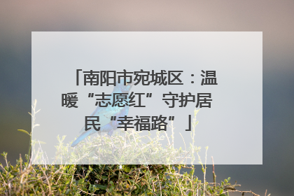 南阳市宛城区：温暖“志愿红”守护居民“幸福路”