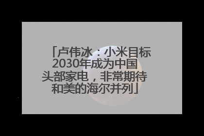 卢伟冰：小米目标2030年成为中国头部家电，非常期待和美的海尔并列