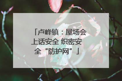 卢峰镇：屋场会上话安全 织密安全“防护网”