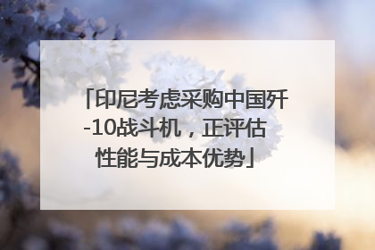 印尼考虑采购中国歼-10战斗机，正评估性能与成本优势