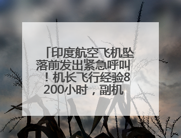 印度航空飞机坠落前发出紧急呼叫！机长飞行经验8200小时，副机长1100小时