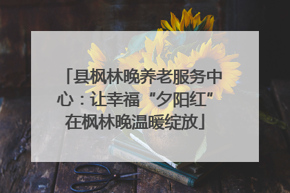 县枫林晚养老服务中心：让幸福“夕阳红”在枫林晚温暖绽放