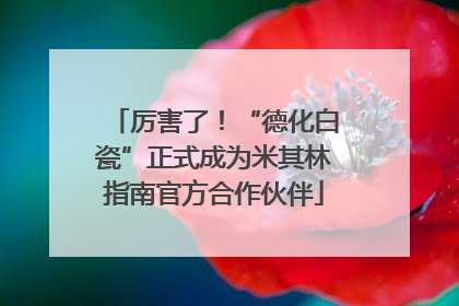 厉害了！“德化白瓷”正式成为米其林指南官方合作伙伴