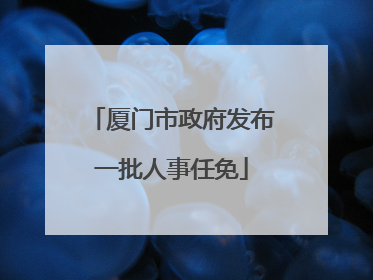 厦门市政府发布一批人事任免