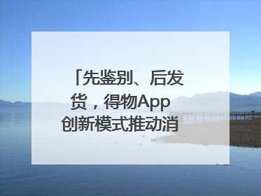 先鉴别、后发货，得物App创新模式推动消费正品化升级