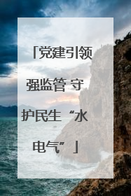 党建引领强监管 守护民生“水电气”