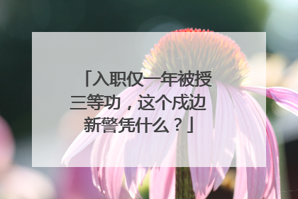 入职仅一年被授三等功，这个戍边新警凭什么？