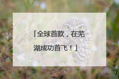 全球首款，在芜湖成功首飞！
