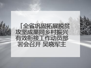 全省巩固拓展脱贫攻坚成果同乡村振兴有效衔接工作动员部署会召开 吴晓军主持并讲话 罗东川作安排部署