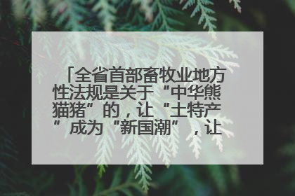 全省首部畜牧业地方性法规是关于“中华熊猫猪”的，让“土特产”成为“新国潮”，让“农产品”升格为“城市IP”