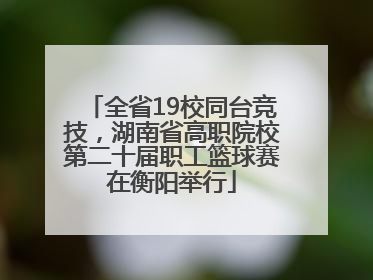 全省19校同台竞技，湖南省高职院校第二十届职工篮球赛在衡阳举行