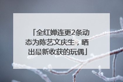 全红婵连更2条动态为陈艺文庆生，晒出最新收获的玩偶