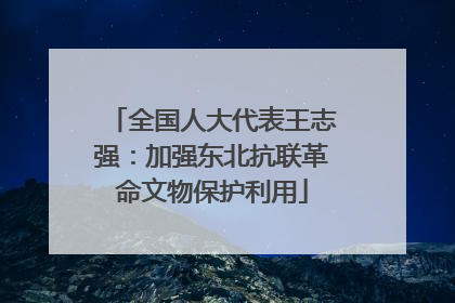 全国人大代表王志强：加强东北抗联革命文物保护利用