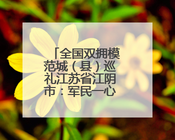 全国双拥模范城（县）巡礼江苏省江阴市：军民一心“澄”伟业
