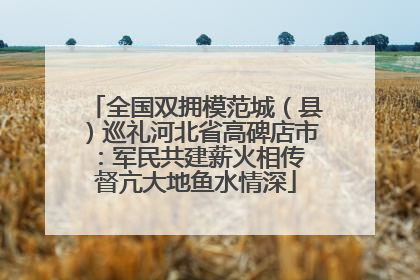 全国双拥模范城（县）巡礼河北省高碑店市：军民共建薪火相传 督亢大地鱼水情深