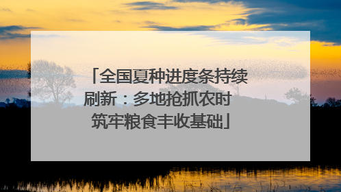 全国夏种进度条持续刷新：多地抢抓农时 筑牢粮食丰收基础