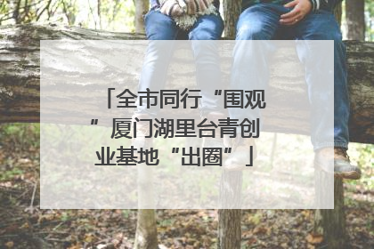 全市同行“围观”厦门湖里台青创业基地“出圈”