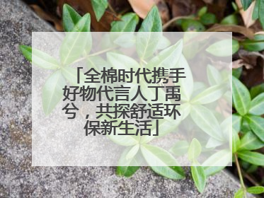 全棉时代携手好物代言人丁禹兮，共探舒适环保新生活