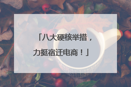 八大硬核举措，力挺宿迁电商！