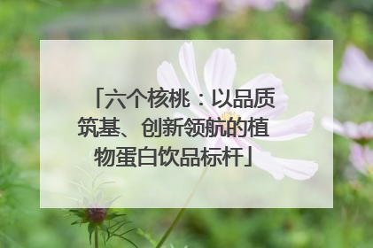 六个核桃：以品质筑基、创新领航的植物蛋白饮品标杆