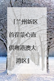 兰州新区首茬菜心直供粤港澳大湾区