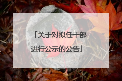 关于对拟任干部进行公示的公告