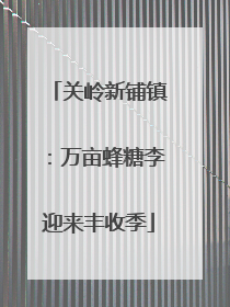 关岭新铺镇：万亩蜂糖李迎来丰收季