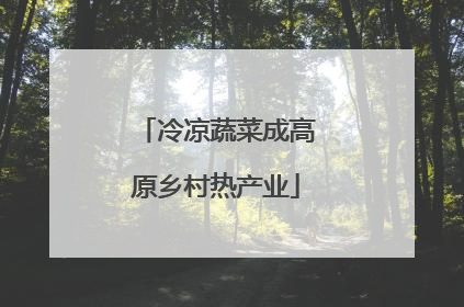 冷凉蔬菜成高原乡村热产业