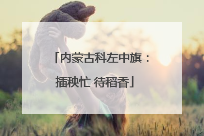 内蒙古科左中旗：插秧忙 待稻香