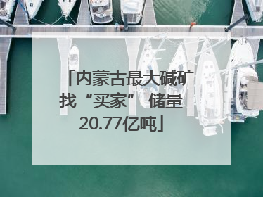 内蒙古最大碱矿找“买家” 储量20.77亿吨
