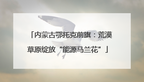内蒙古鄂托克前旗：荒漠草原绽放“能源马兰花”