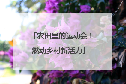 农田里的运动会！燃动乡村新活力