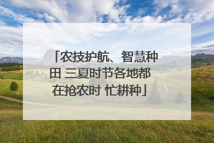 农技护航、智慧种田 三夏时节各地都在抢农时 忙耕种