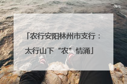 农行安阳林州市支行：太行山下“农”情涌