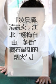 凌晨摘、清晨卖，江北“杨梅自由一条街”藏着最甜的烟火气
