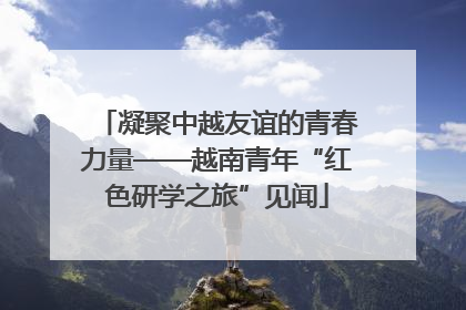凝聚中越友谊的青春力量——越南青年“红色研学之旅”见闻