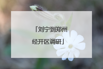 刘宁到郑州经开区调研