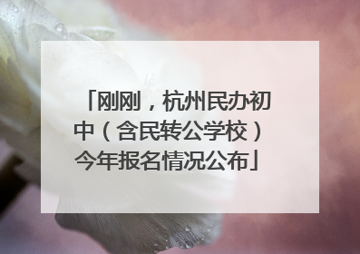 刚刚，杭州民办初中（含民转公学校）今年报名情况公布